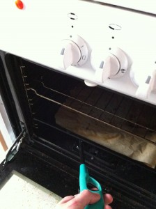 Gas Oven