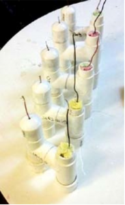 arduino bio fuelcells