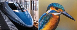 train_kingfisher_550x216