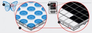 biomimetic interfaces